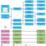 Diagram of combined view of pathways as described above. Additional description under heading Image Description.